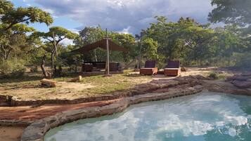 Piscine naturelle