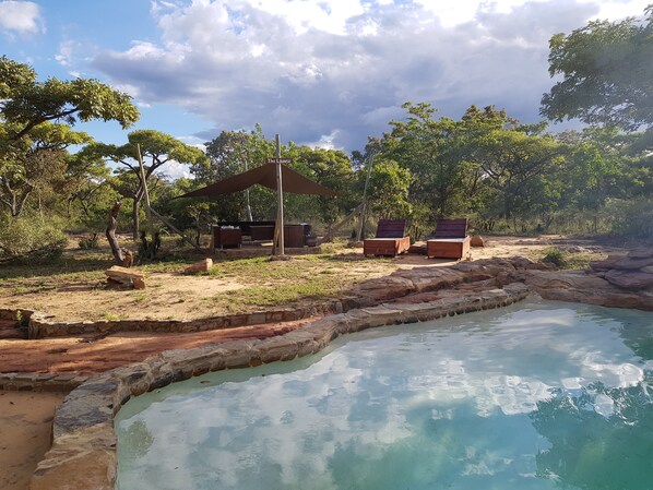 Natural pool