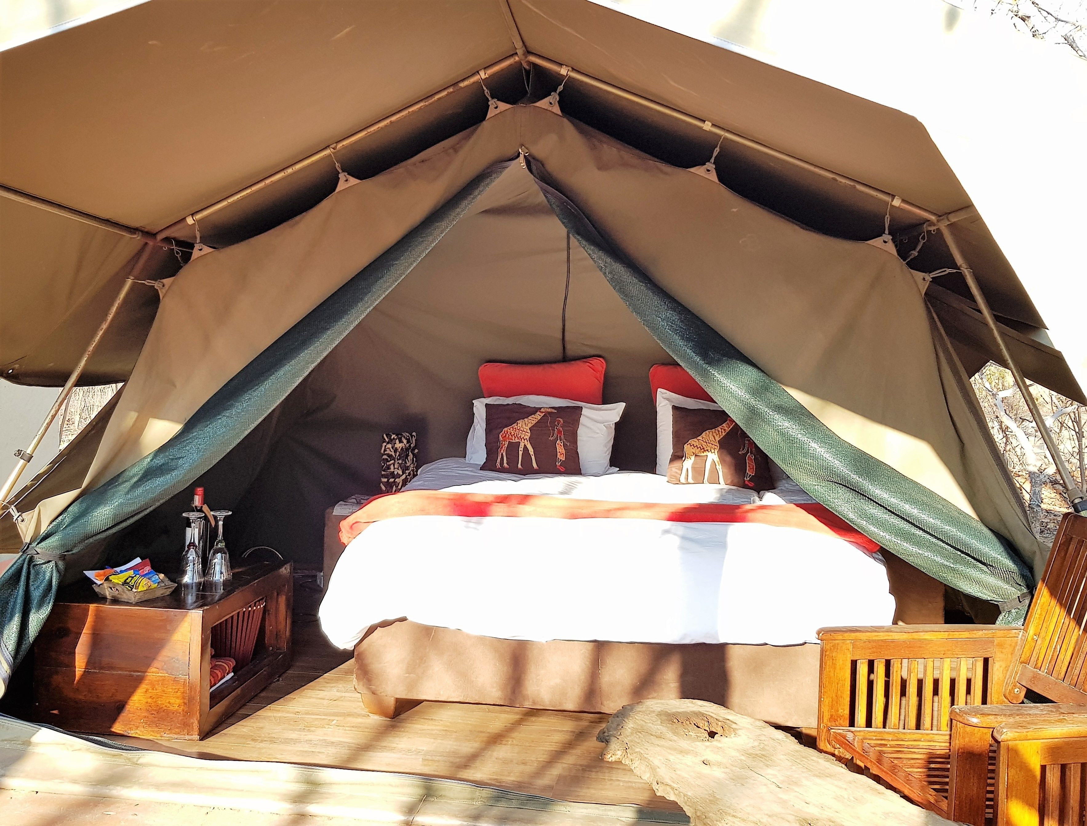 텐트 (Civet Safari)