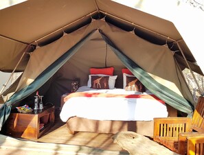 Tent (Civet Safari)