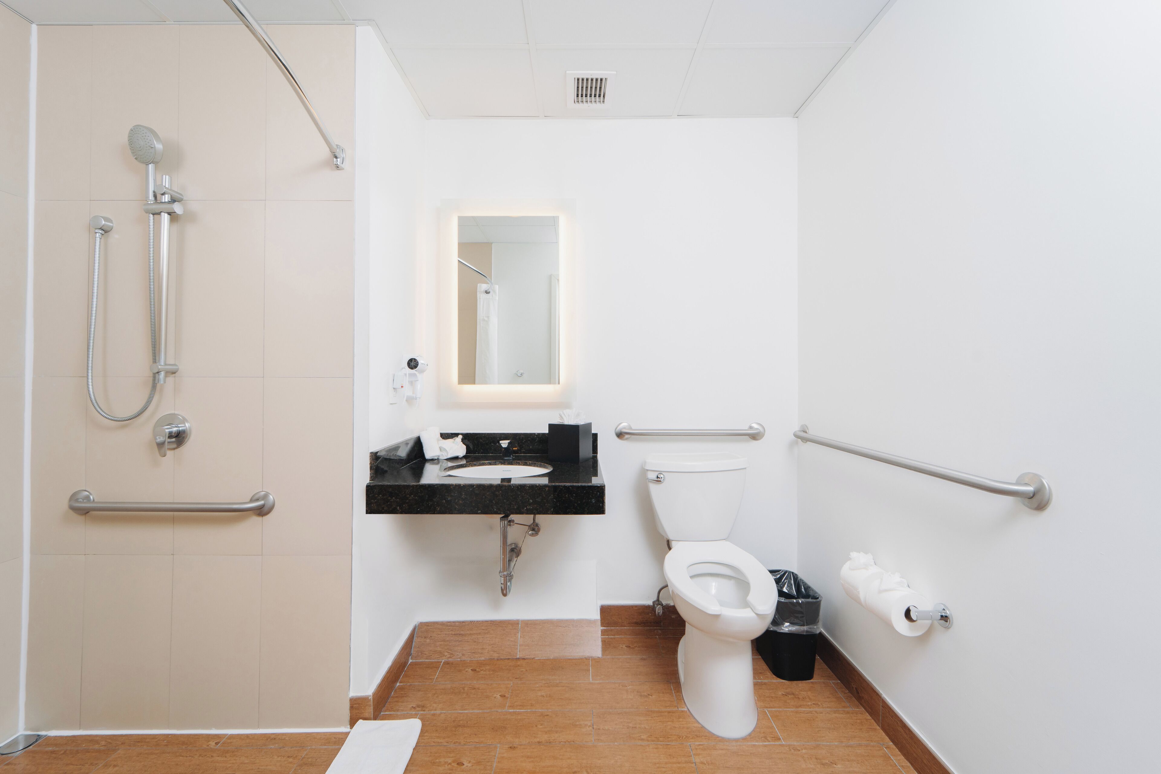 standard room, 1 king bed, accessible | bathroom | shower, hair dryer, towels
