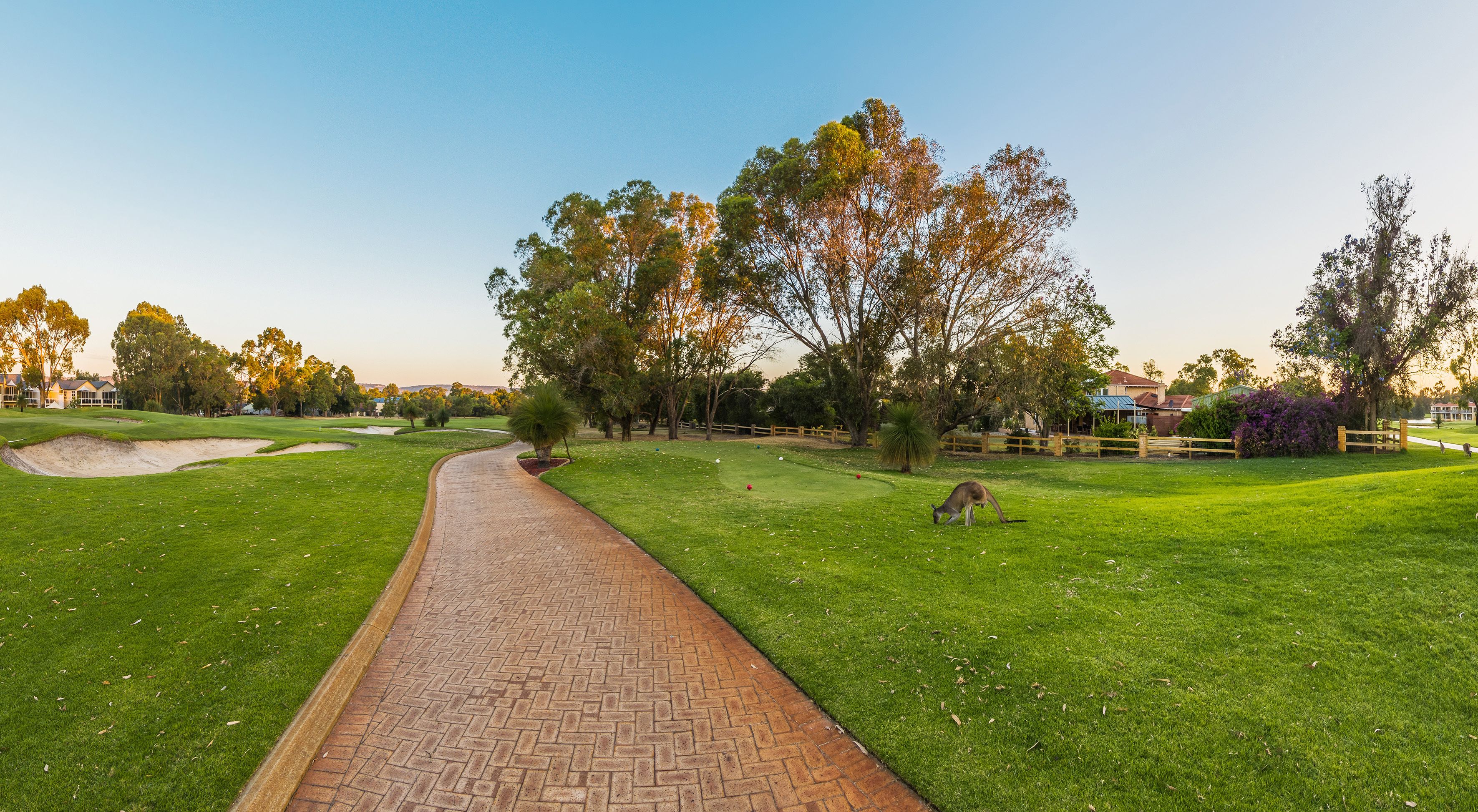 The Sebel Swan Valley The Vines — image 17