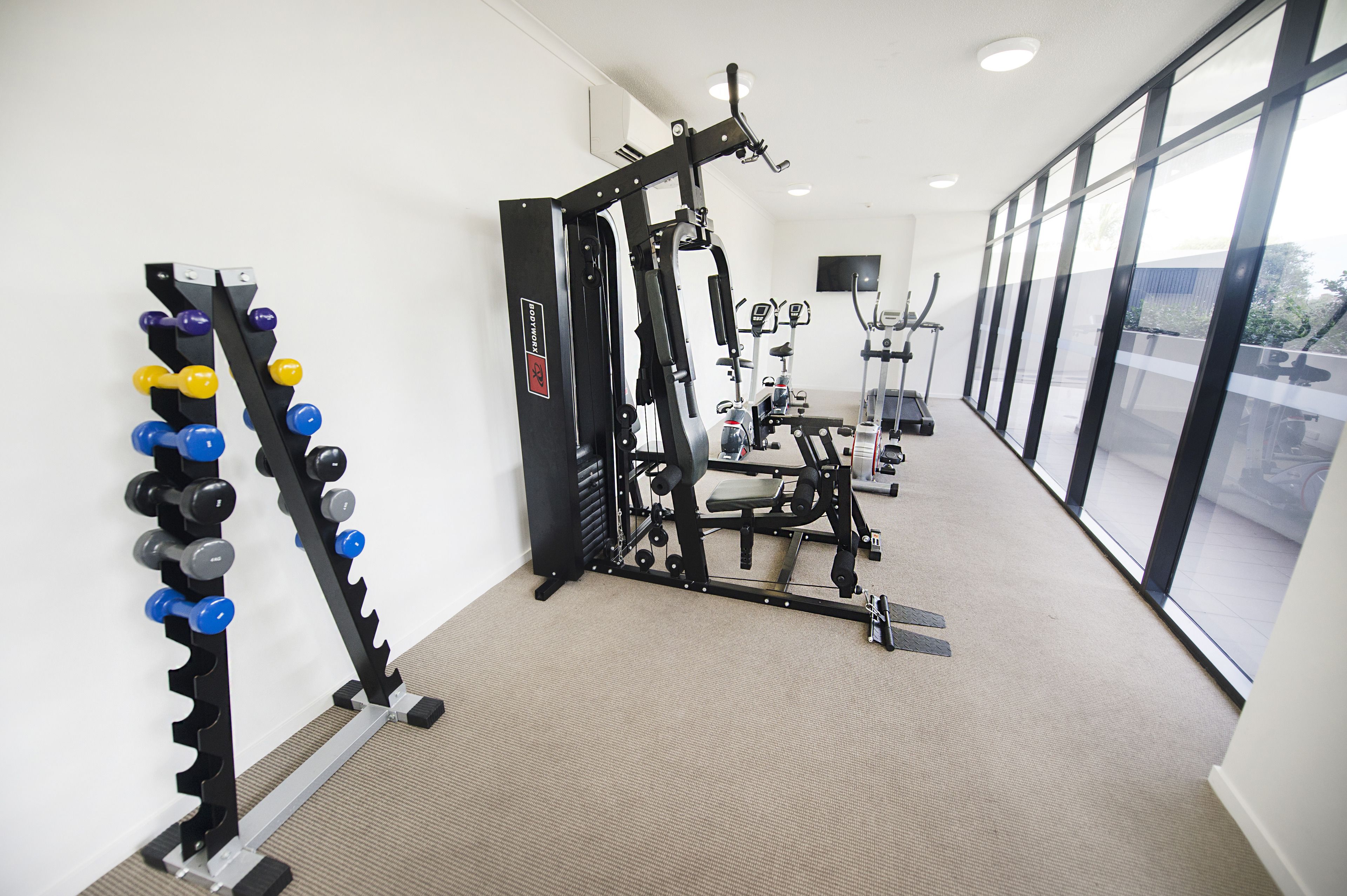 A gym with weightlifting equipment, cardio machines, and large windows.