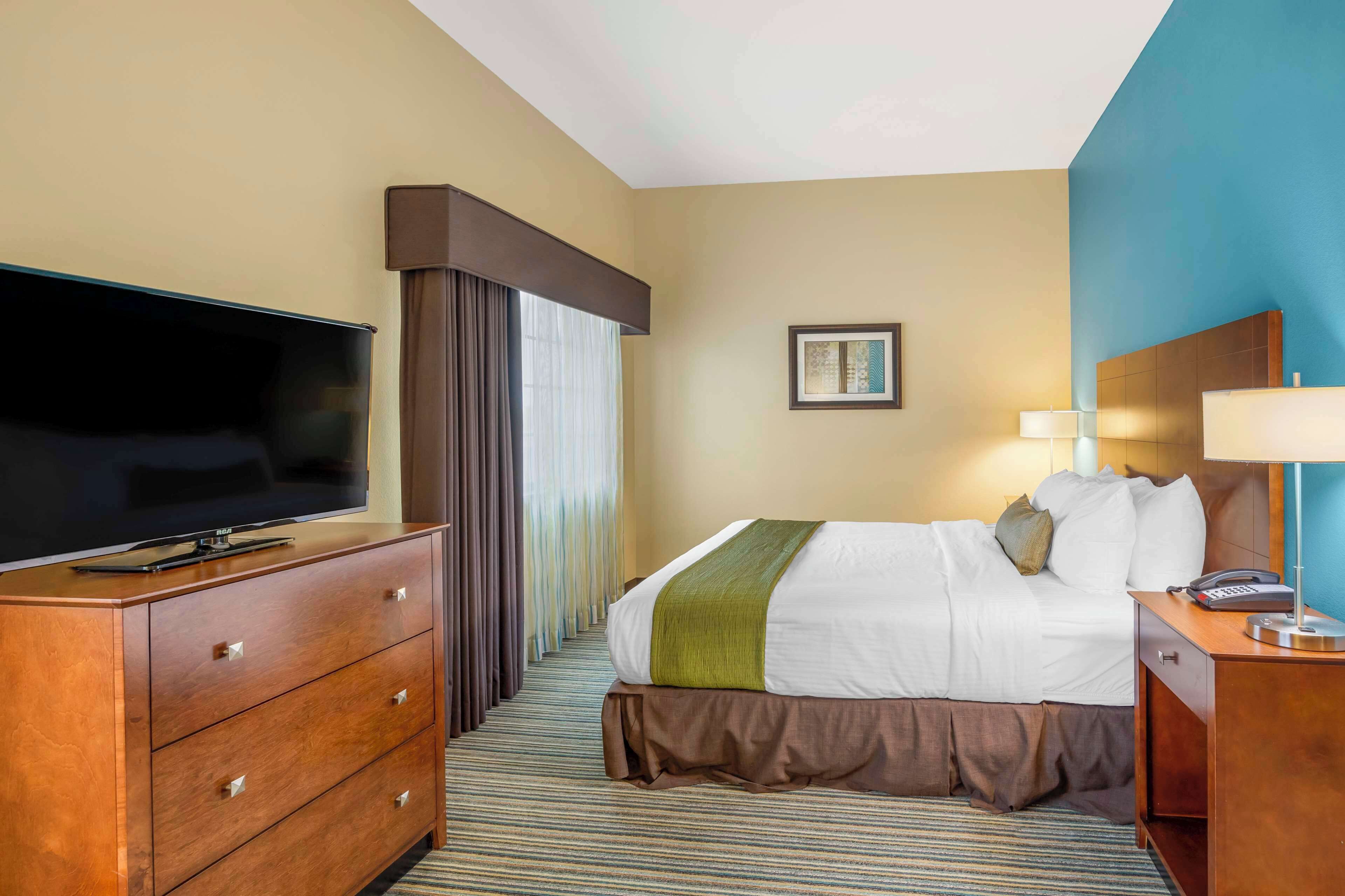 Habitación de hotel con una cama, un televisor sobre una cómoda de madera, una mesita de noche con una lámpara y un cuadro en la pared.