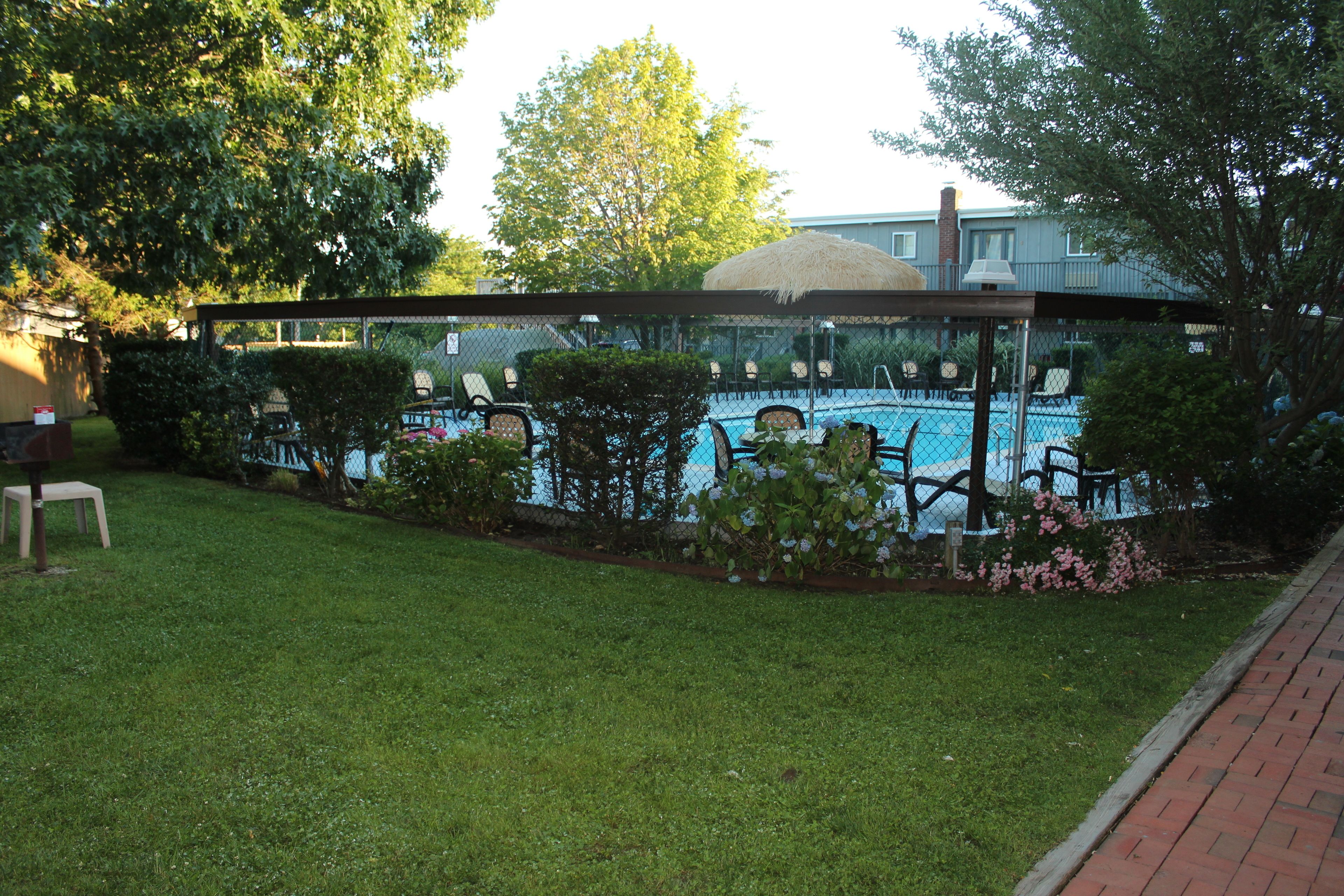 A swimming pool area with a covered seating area, surrounded by greenery and a brick pathway.