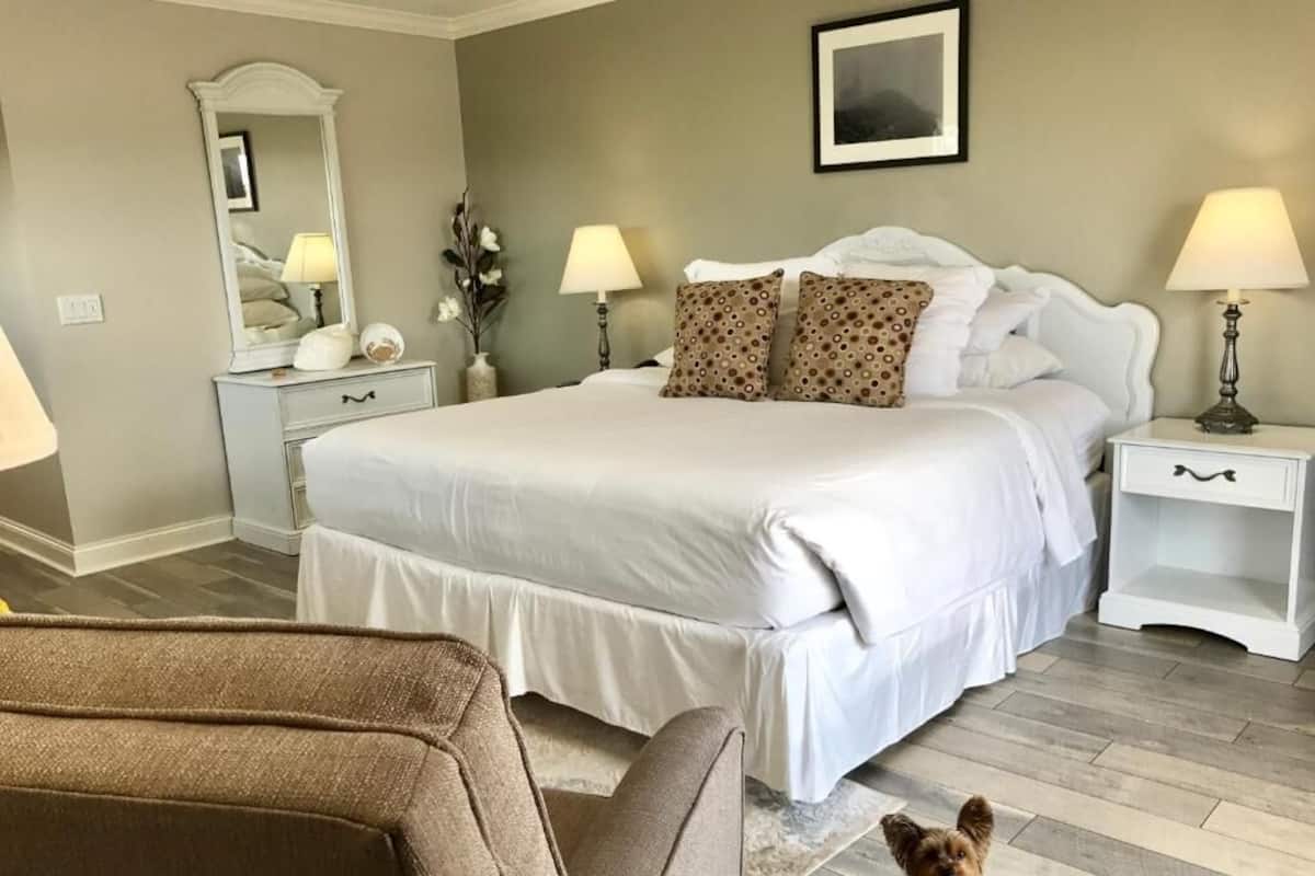 A bedroom with a large bed, two bedside tables with lamps, a dresser, and a dog on the floor.
