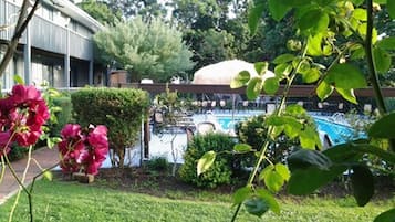 Una piscina rodeada de abundante vegetación y un edificio con un porche cubierto.