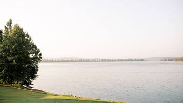 A calm lake with a large tree on the left and a distant shoreline.