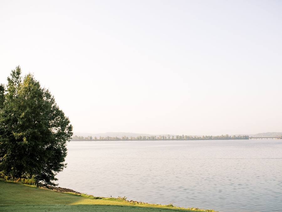 A calm lake with a large tree on the left and a distant shoreline.