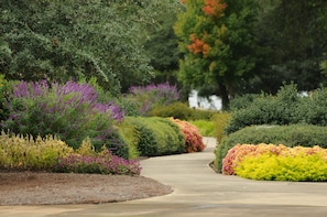 View from property - Clemson University's James F. Martin Inn (Clemson)