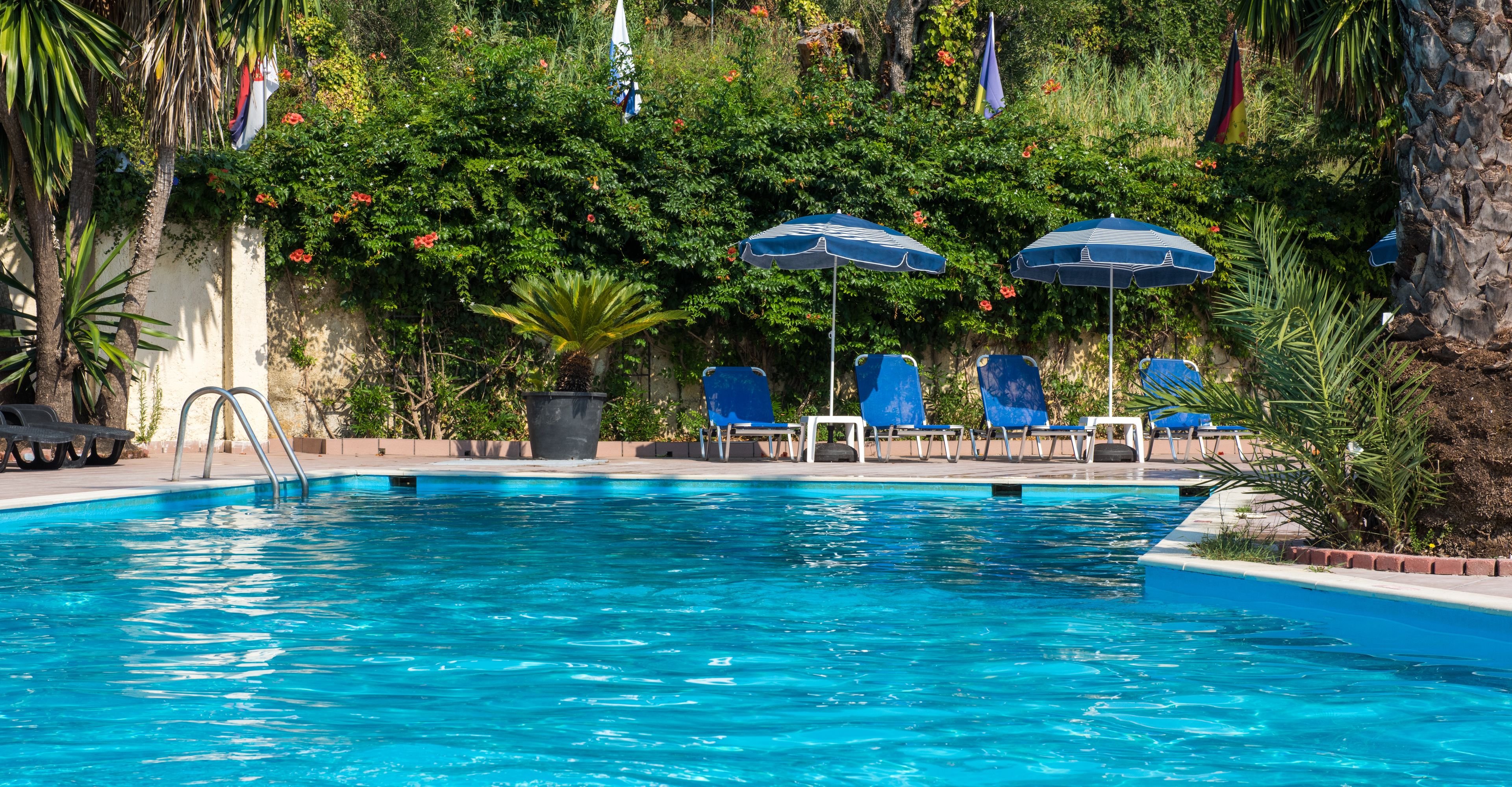 Photo - Ipsos Di Mare