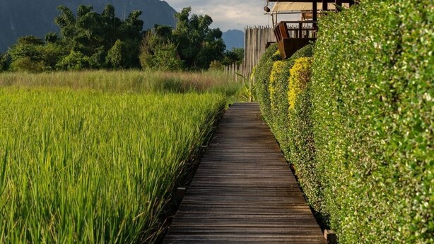 A wooden pathway leading to a thatched-roof structure surrounded by lush greenery and mountains in the background. - ViengTara VangVieng Resort (Vang Vieng)