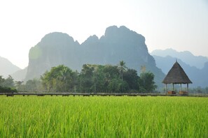 住宿景觀