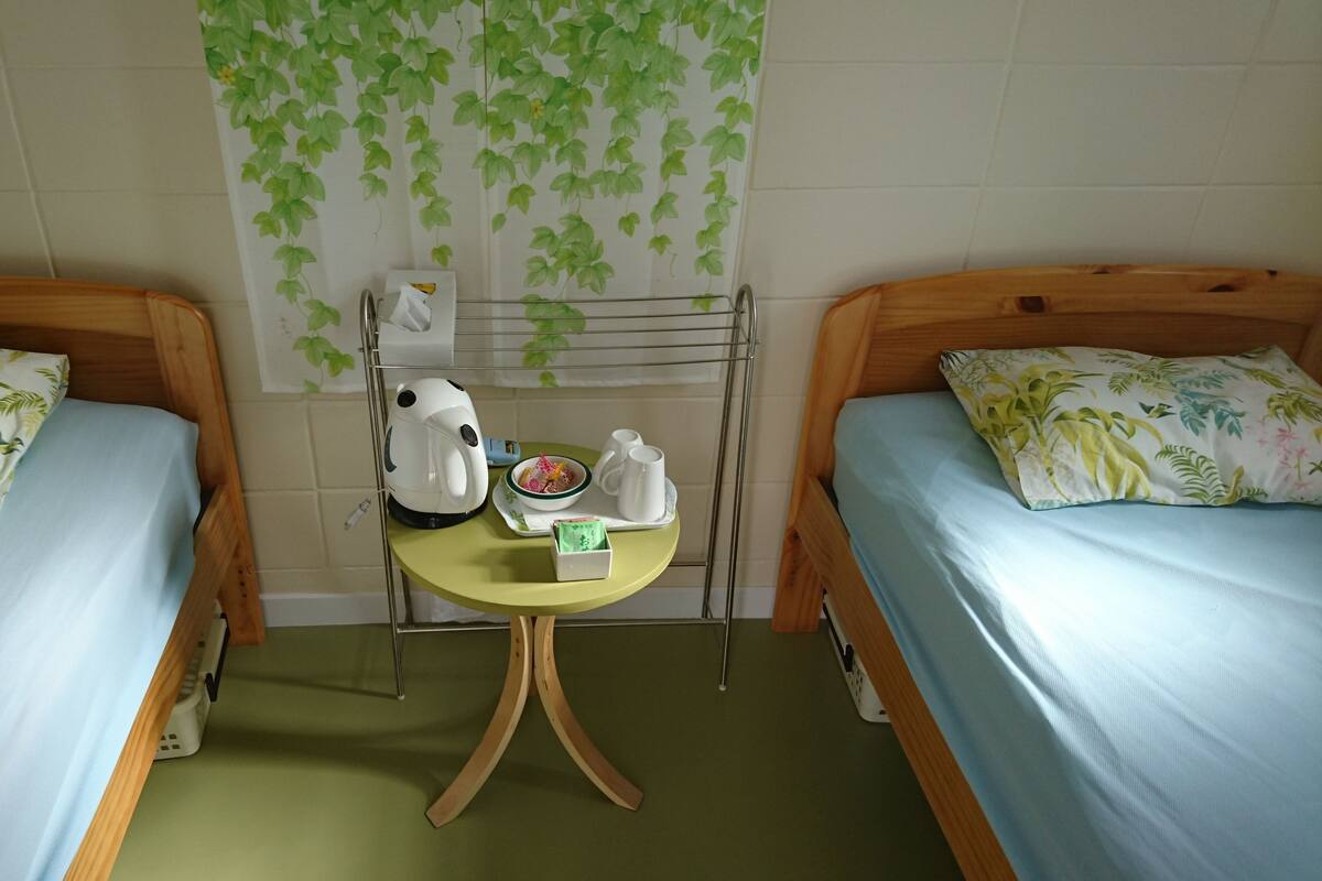 Habitación con 2 camas individuales, baño compartido, en edificio anexo | Edredones de plumas, sistema de insonorización, wifi gratis