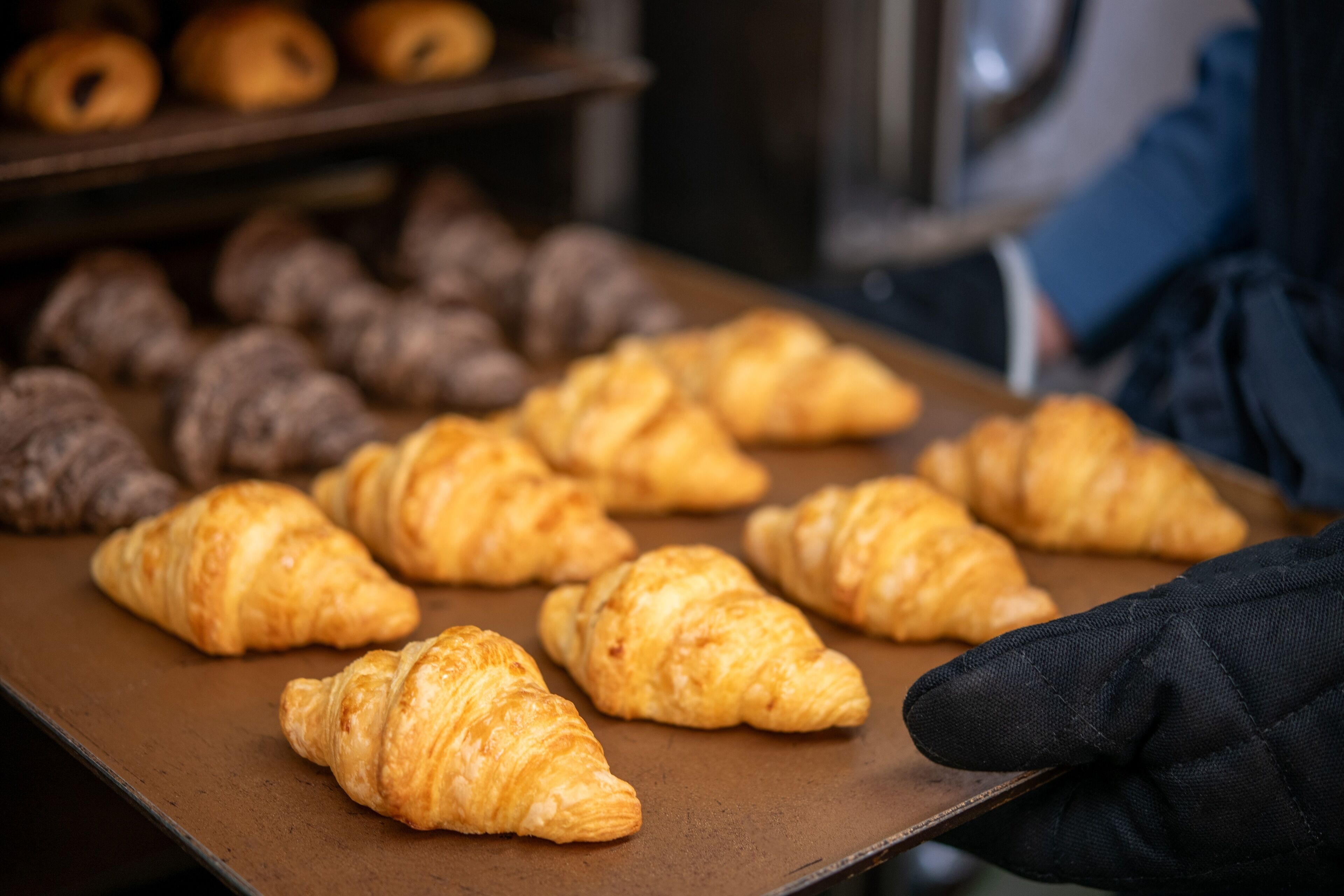 Photo - HOTEL MYSTAYS Maihama