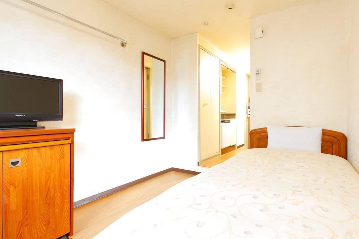Una habitación de hotel con una cama, un televisor sobre un mueble de madera, un espejo y un armario.