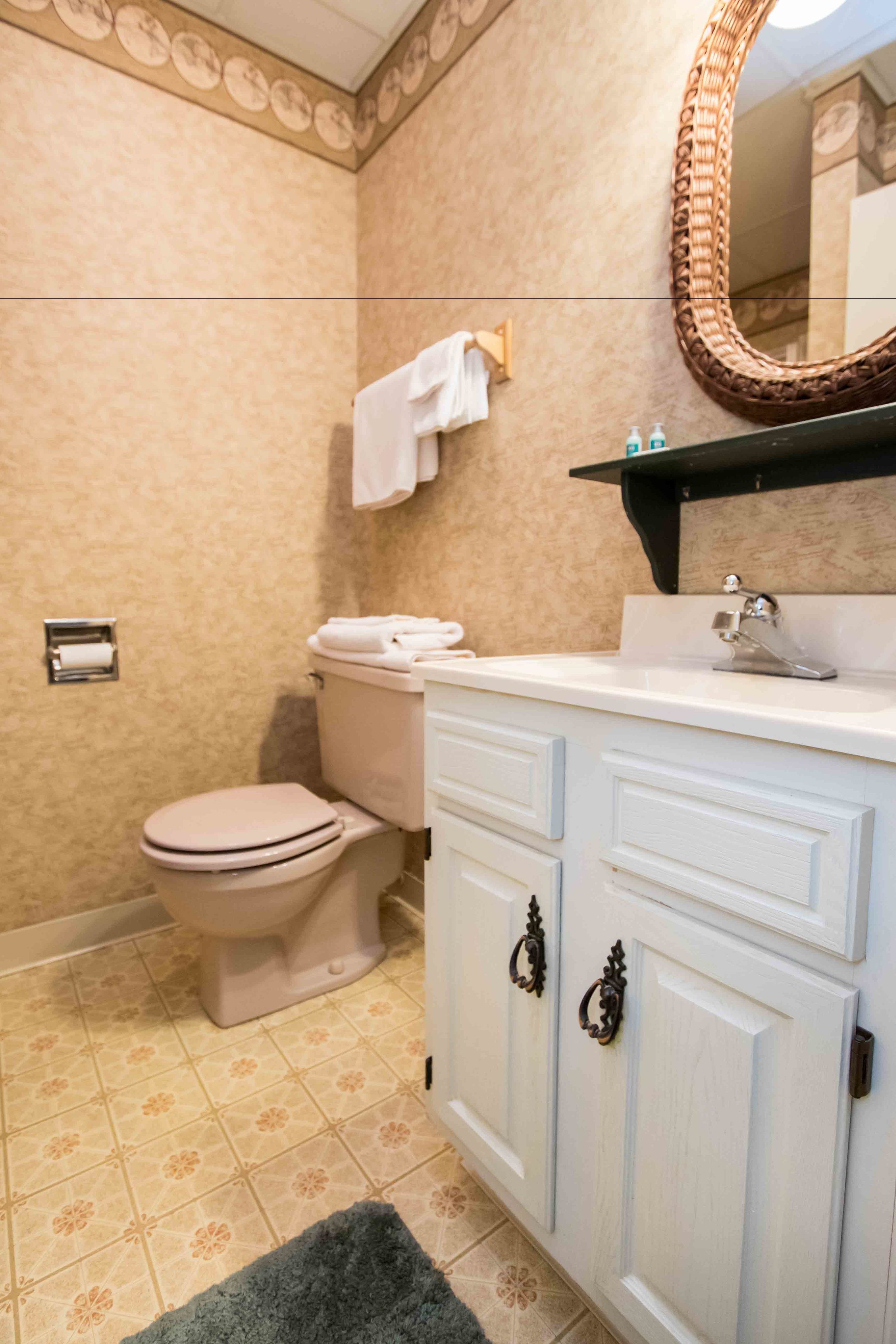 Une salle de bain avec des toilettes, un lavabo et un miroir.