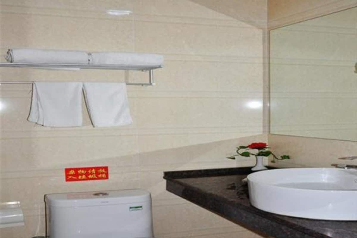 Une salle de bain équipée d’un lavabo, de toilettes et d’un porte-serviettes avec deux serviettes.