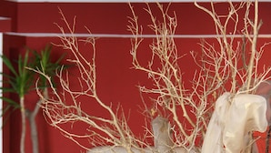 A room with a white sofa, a potted plant, and a decorative branch arrangement. - Santa Marina Hotel Apartments (Kos)