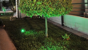 A modern building with a well-maintained lawn and a small tree illuminated by green lights. - Santa Marina Hotel Apartments (Kos)