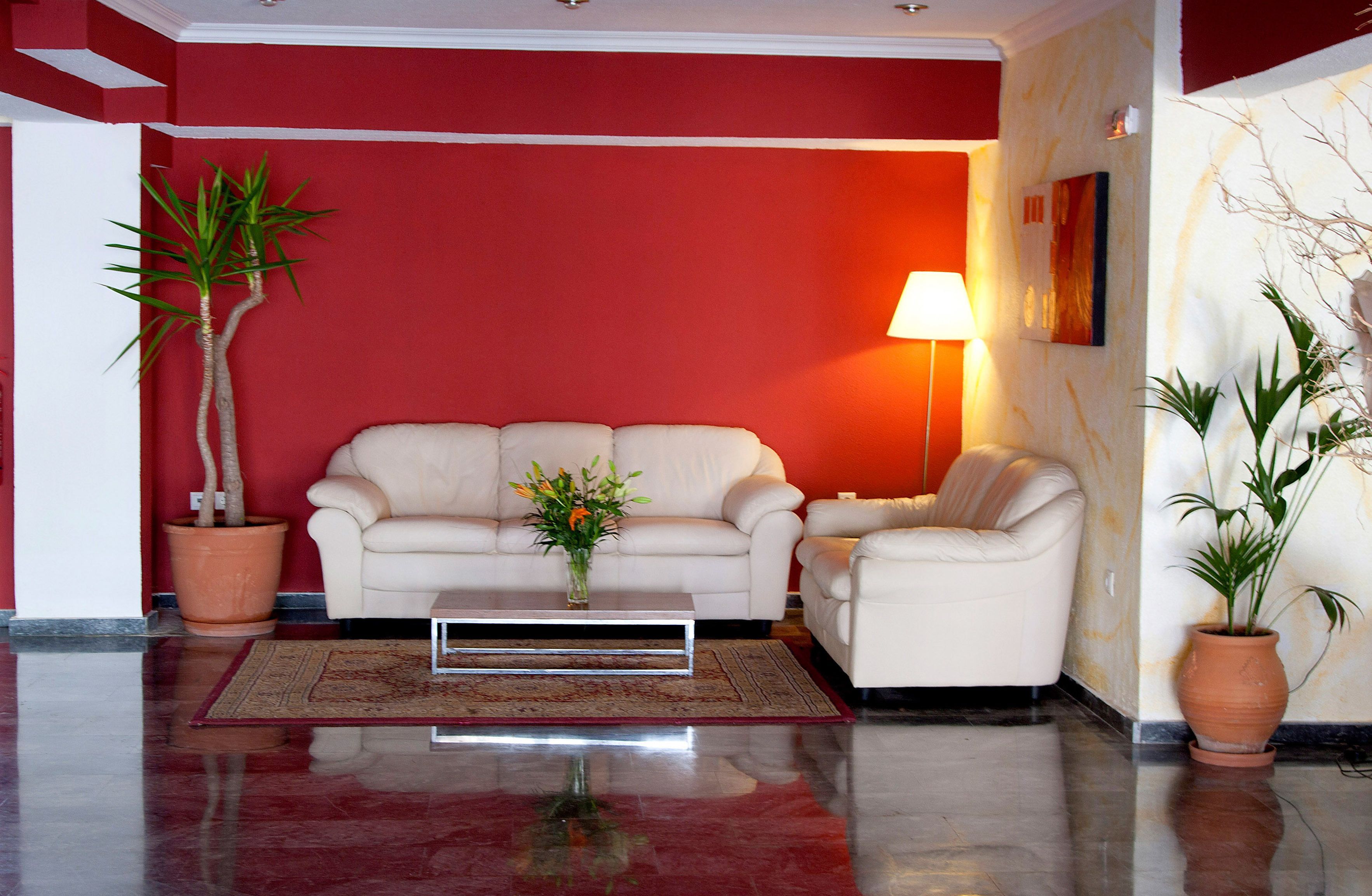 Una sala de estar con una pared roja, un sofá blanco, una mesa de centro con un florero y dos plantas en macetas.
