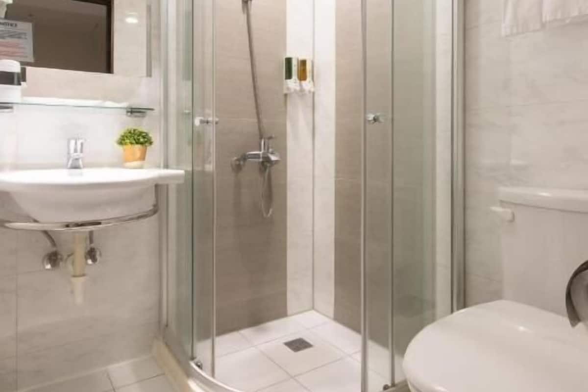 Bathroom | Shower, hair dryer, towels, toilet paper