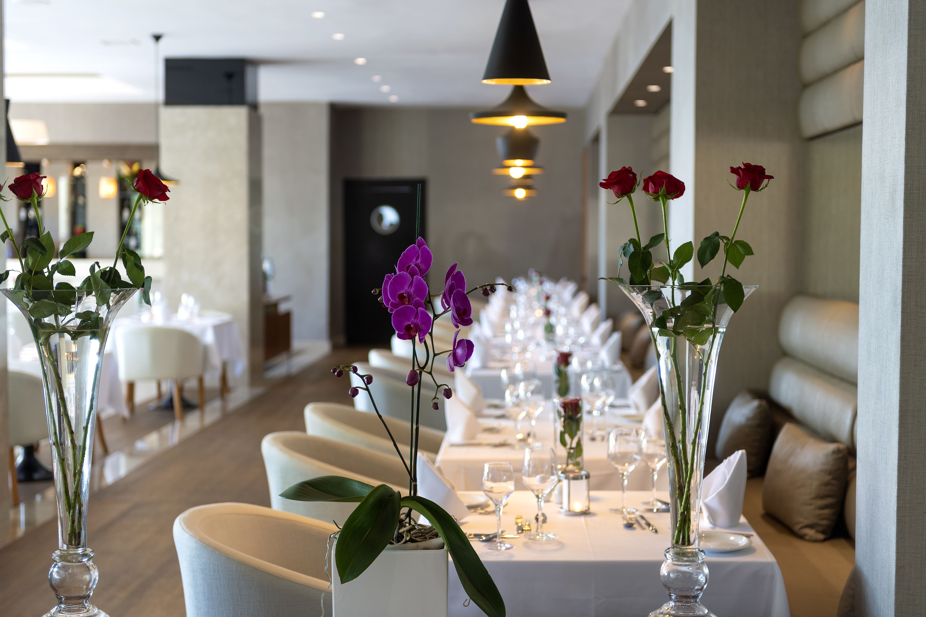 Foto - Turquoise Hotel