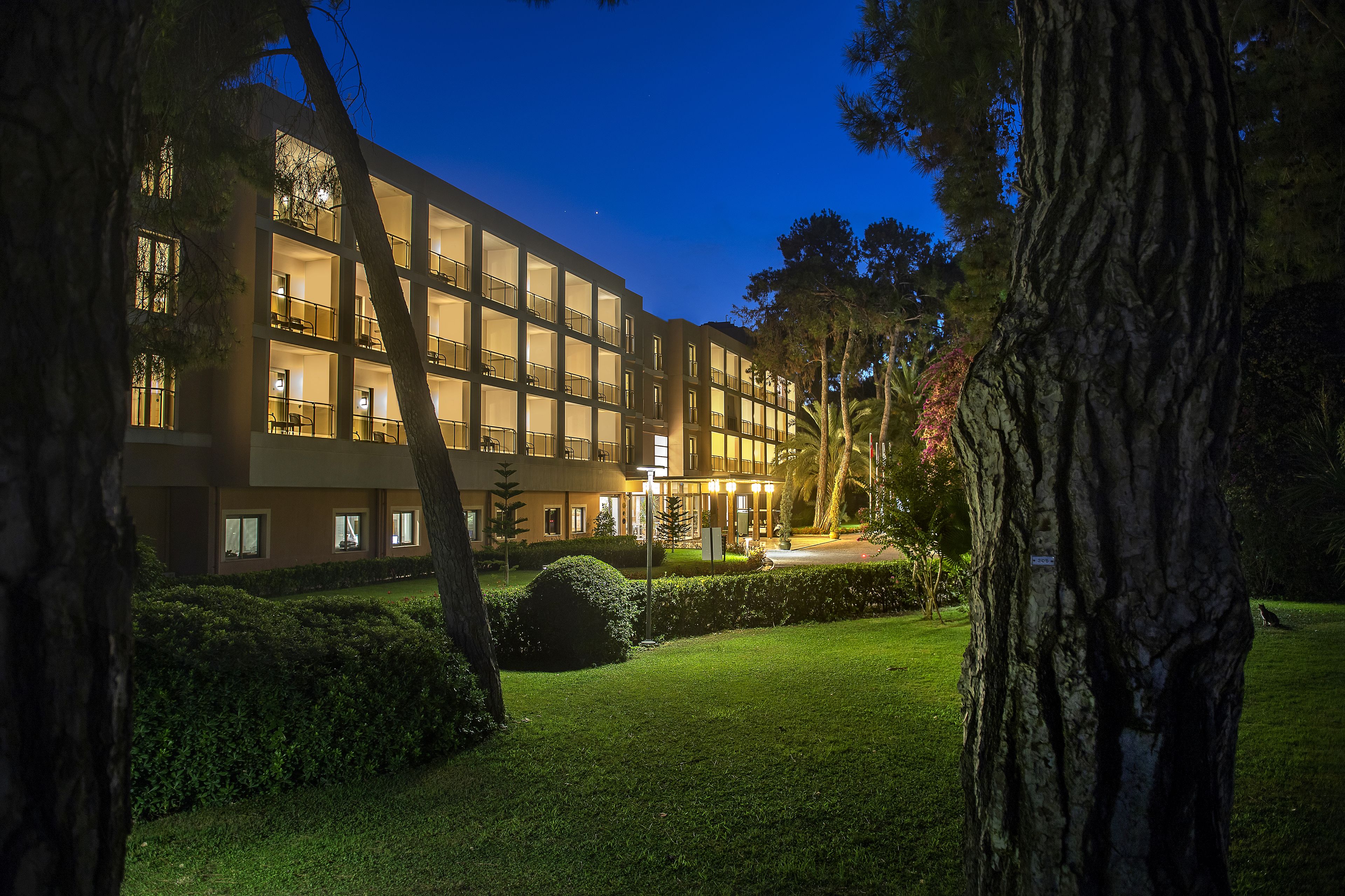 Photo - Turquoise Hotel