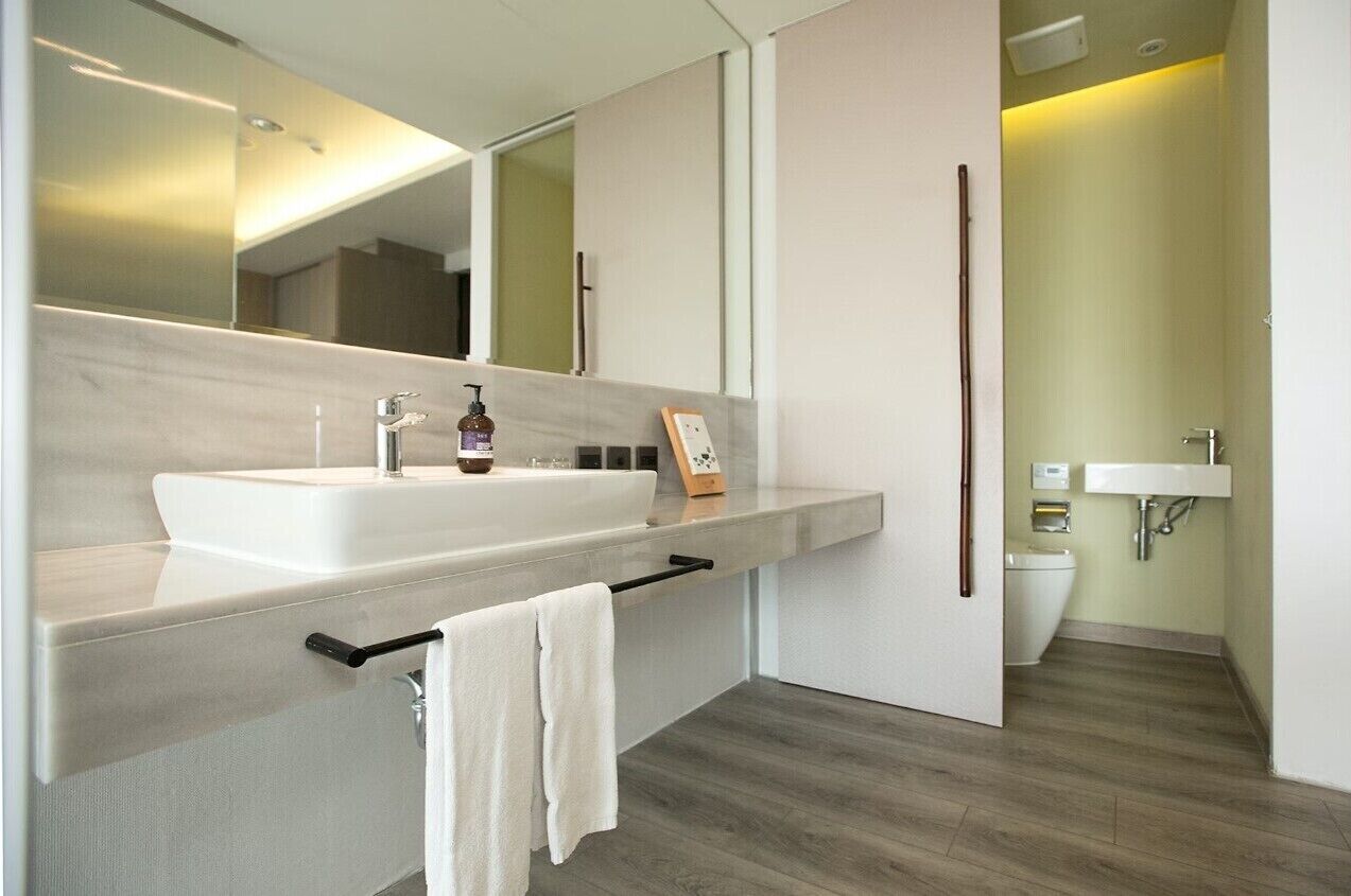 A modern bathroom with a large sink, mirror, and a toilet visible in the background.