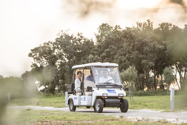 A golf cart with three passengers on a paved path surrounded by greenery.