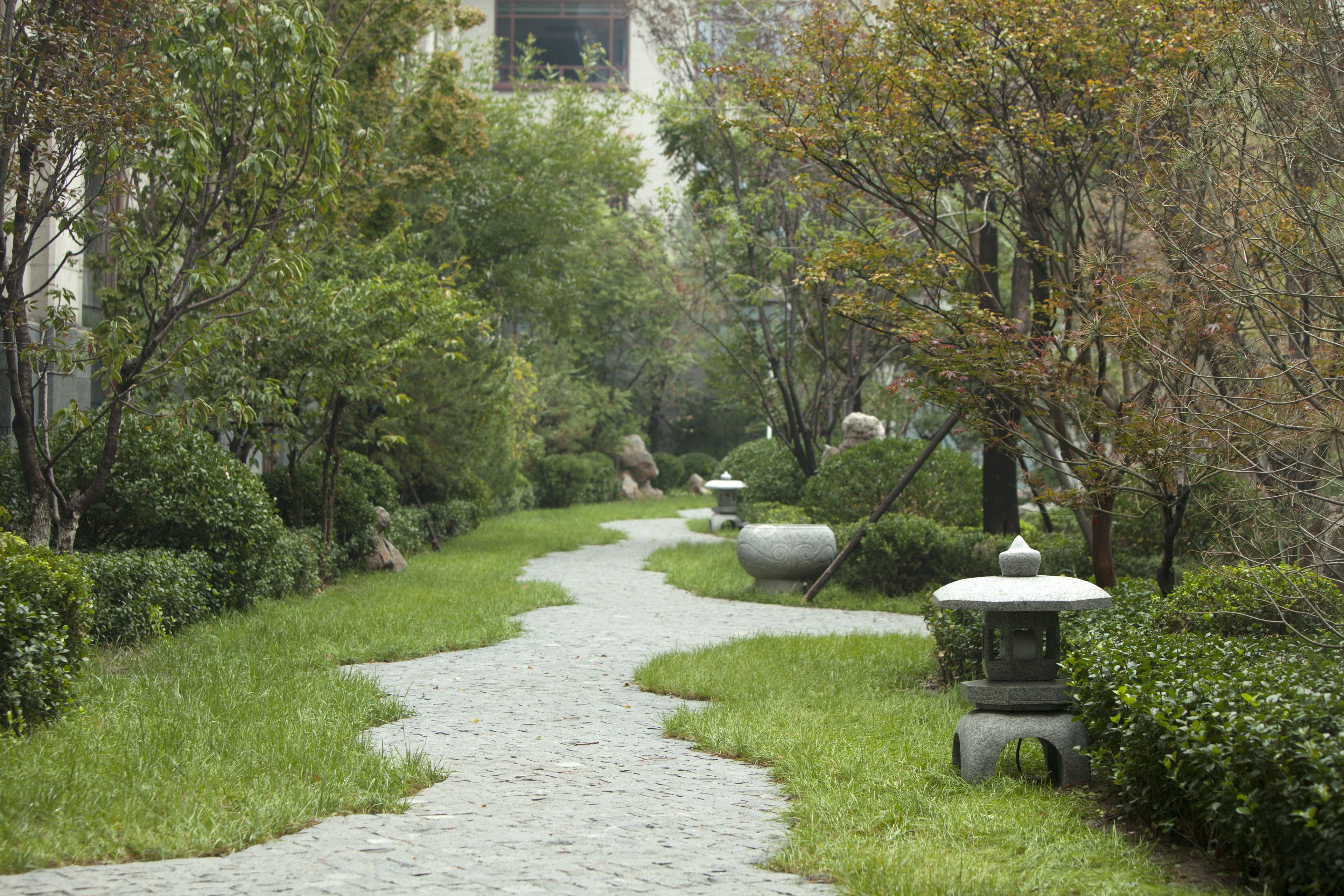 presidential room, 1 king bed | view from property
