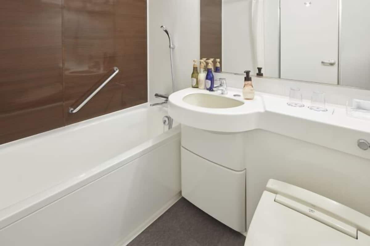 Combined shower/bathtub, free toiletries, hair dryer, slippers