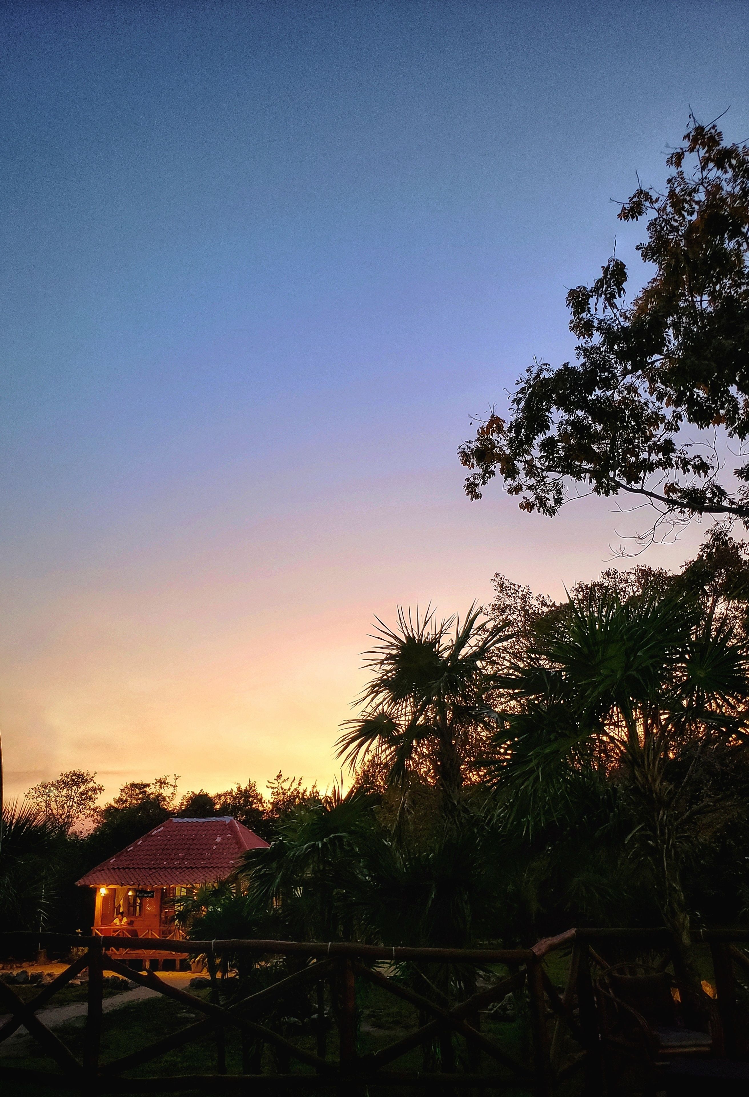 breakfast, lunch and dinner served