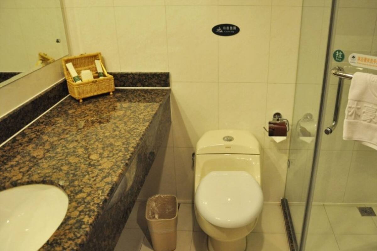 Shower, free toiletries, hair dryer, slippers