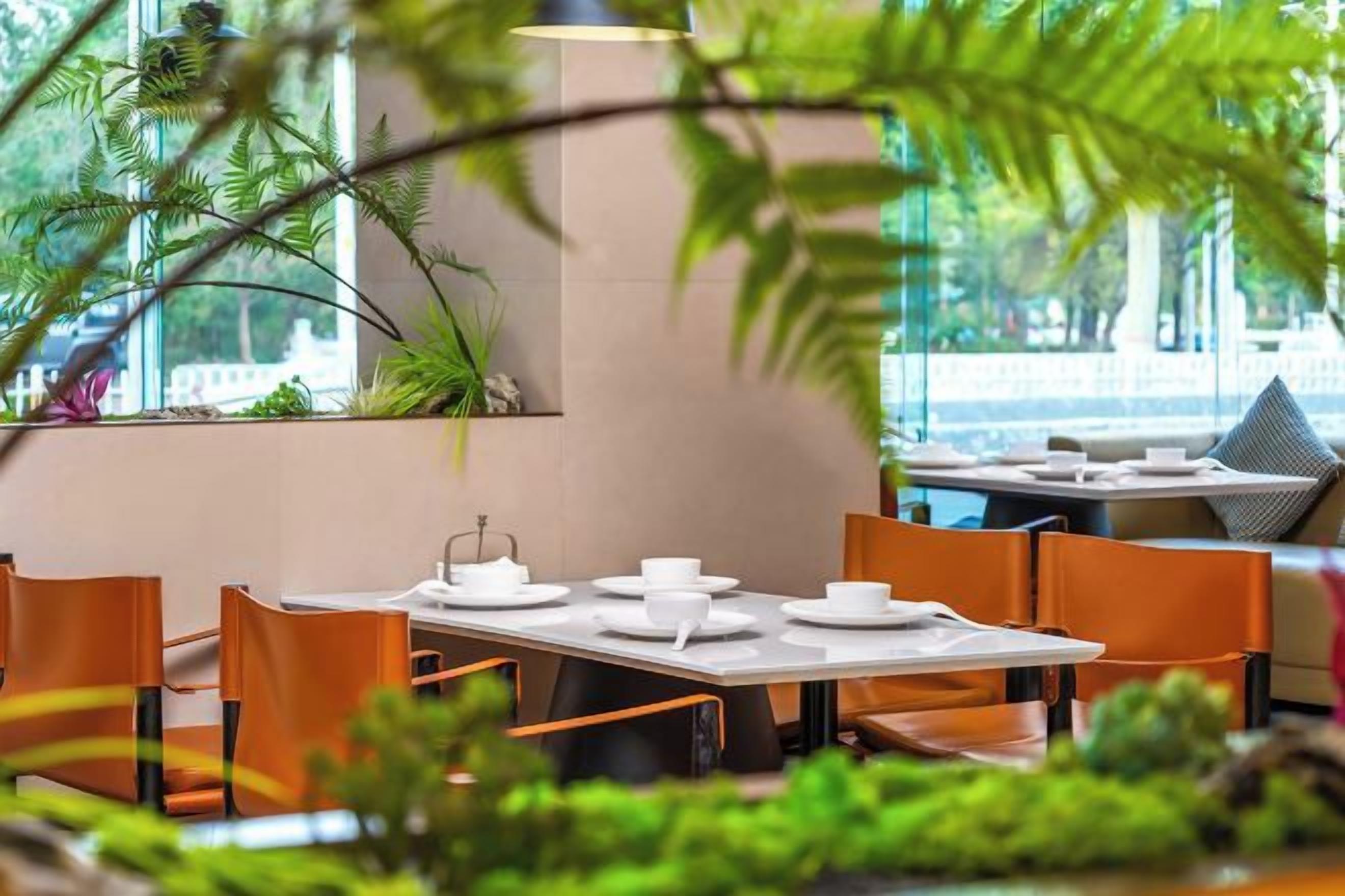 Comedor con mesas y sillas, rodeado de plantas de interior y vistas a través de amplios ventanales.