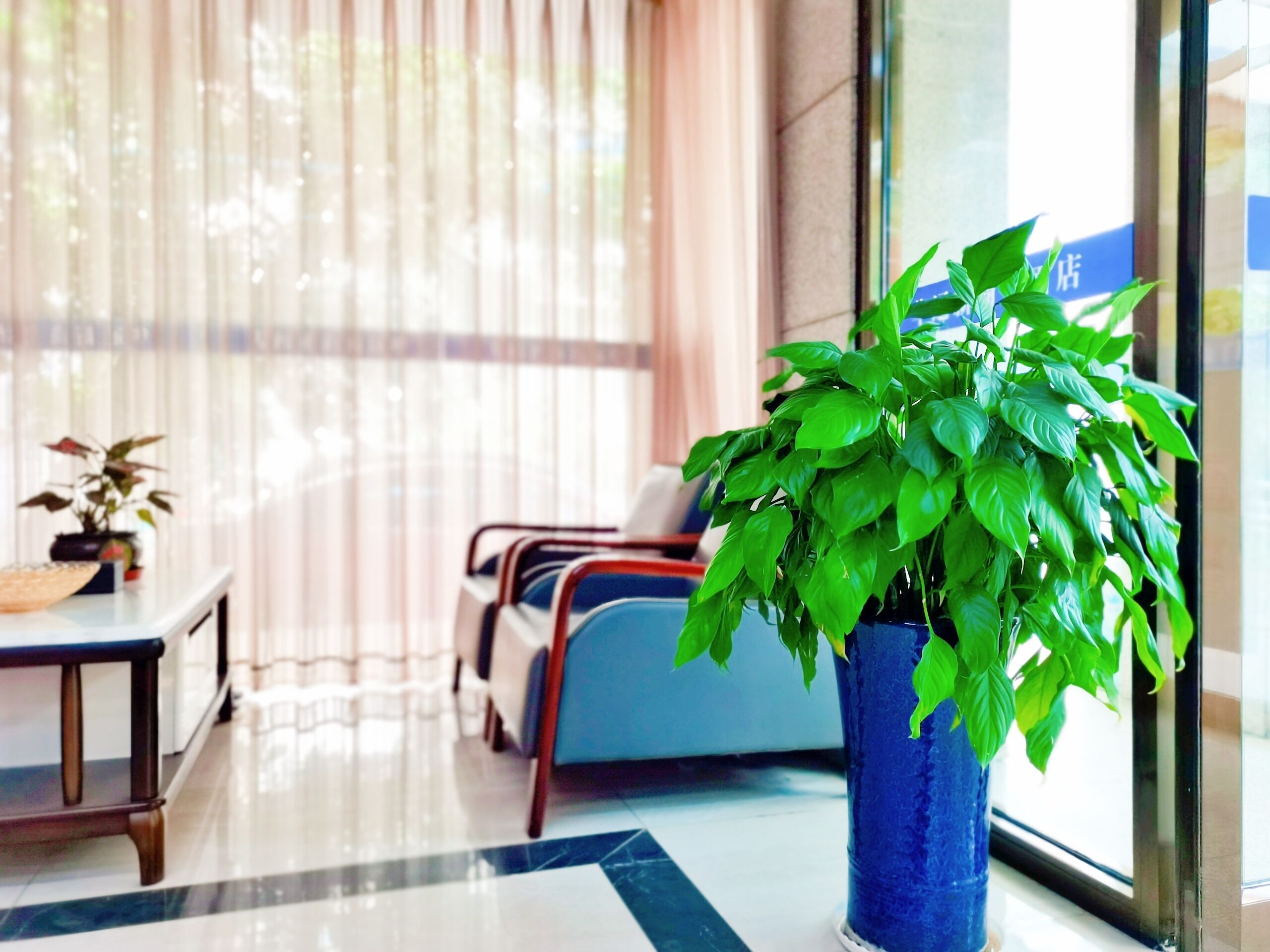 A modern hotel lobby with a large potted plant, a seating area with blue chairs, and a glass partition.