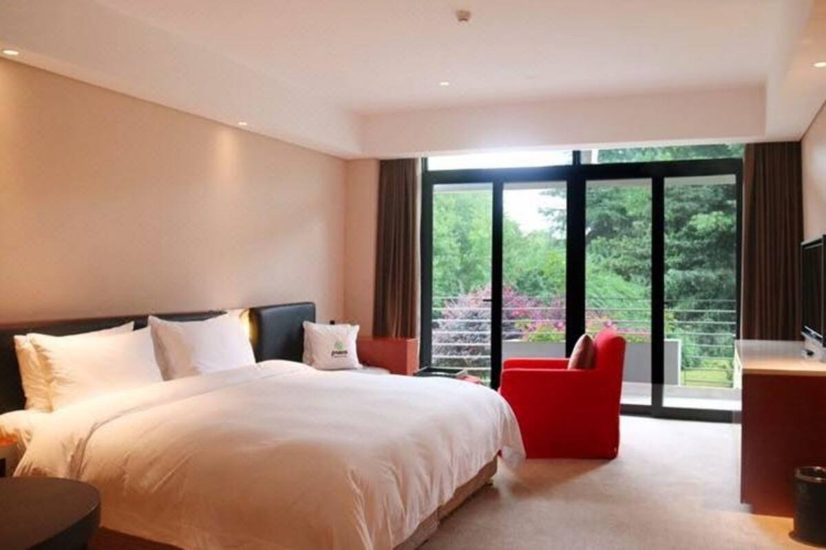 A hotel room with a large bed, a red chair, a desk, and a view of greenery through large windows.
