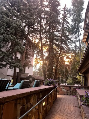 A stone bench with a metal railing, surrounded by trees and a building.