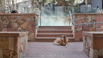 A stone-fenced outdoor area with steps leading to a building entrance.