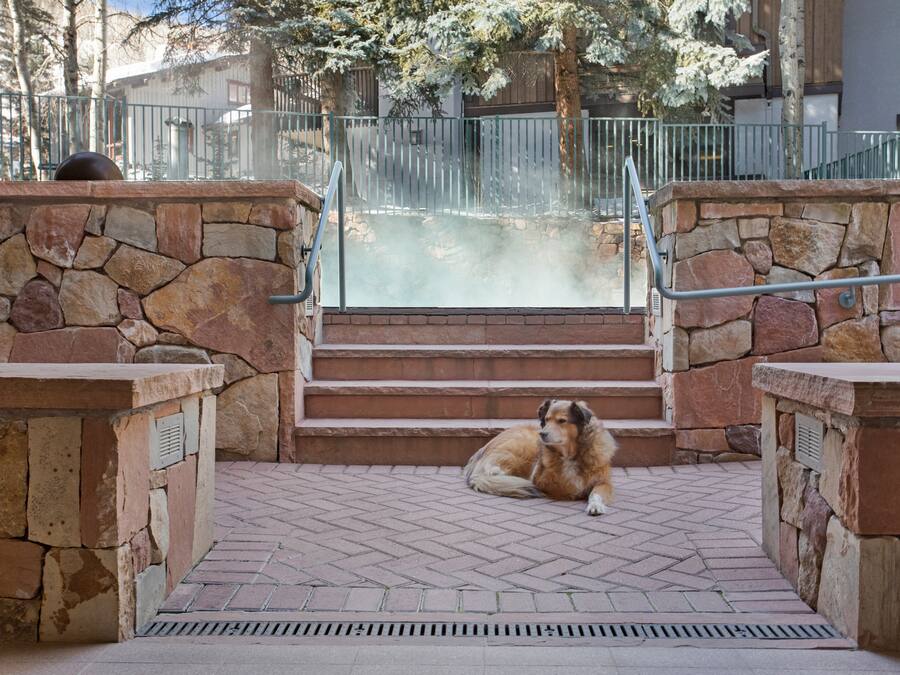 A stone-fenced outdoor area with steps leading to a building entrance.