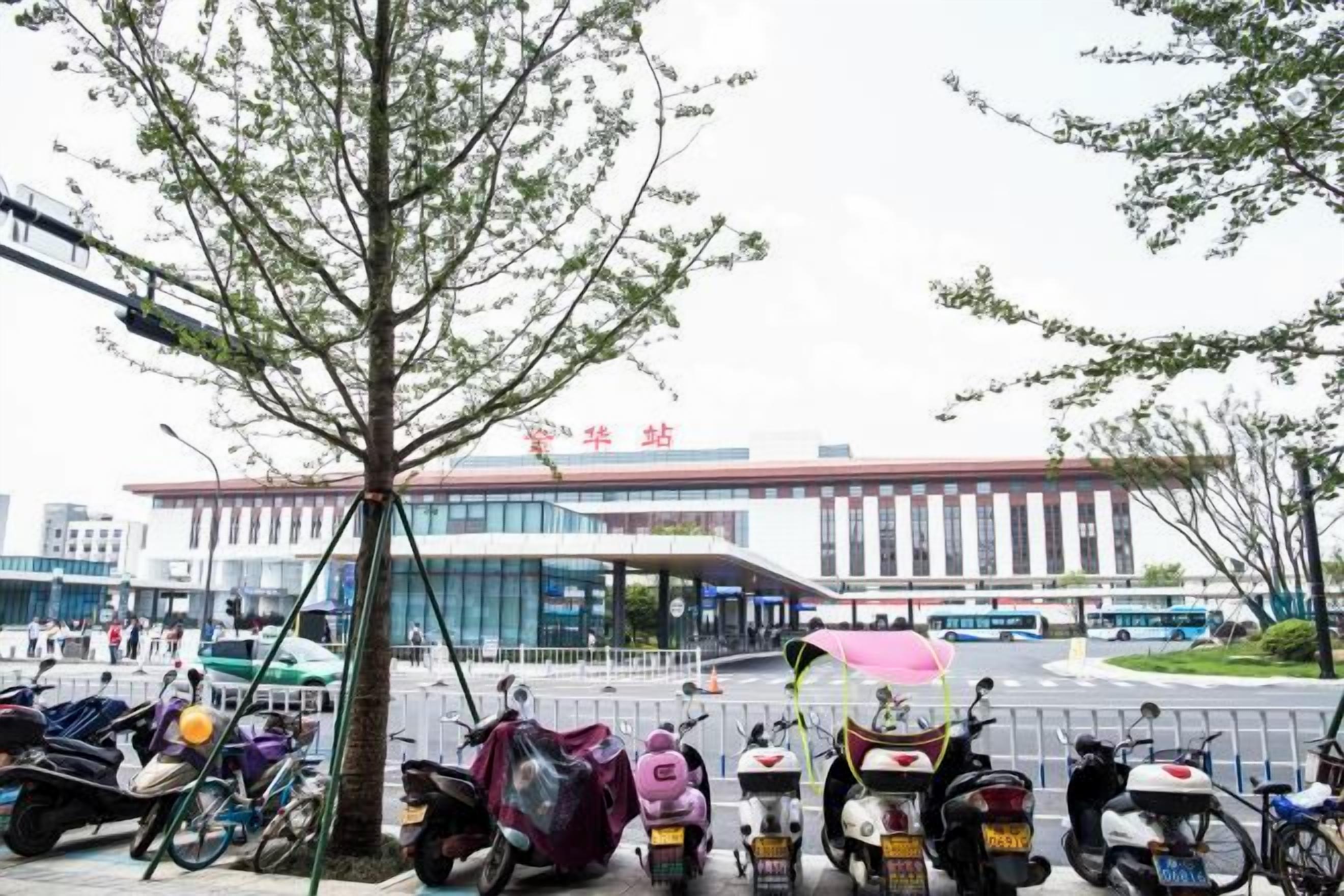 A parking area with multiple scooters and a tree in the foreground.