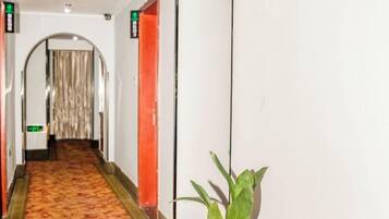 A hotel hallway with a carpeted floor, an archway, and a potted plant.