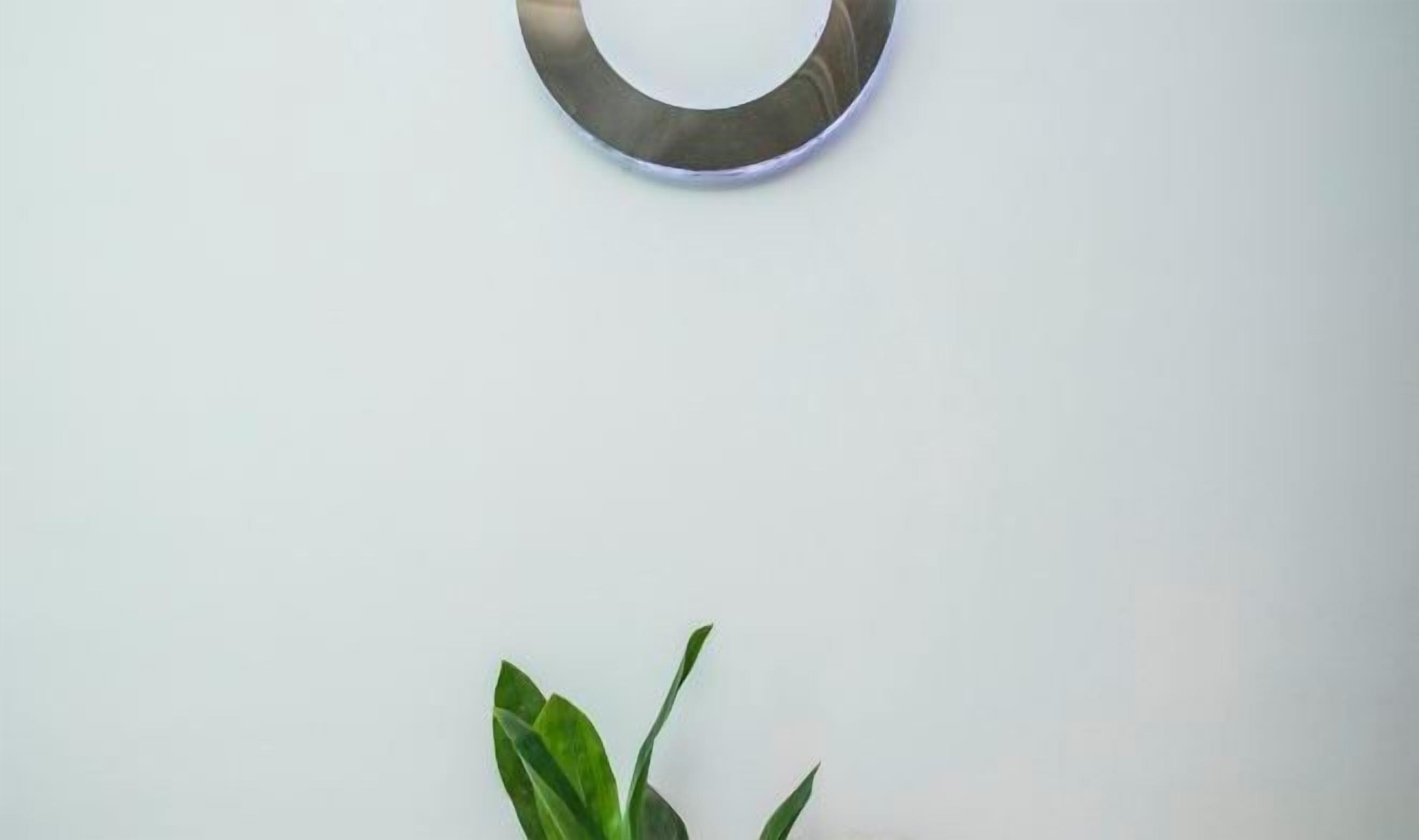 Détail de l’intérieur
