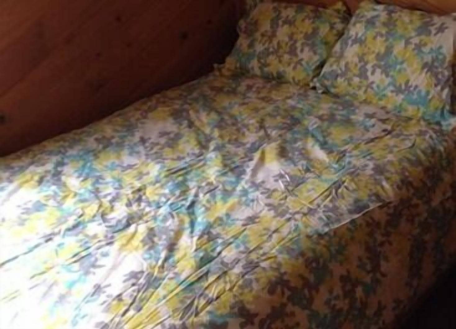 standard cabin, multiple beds | individually decorated