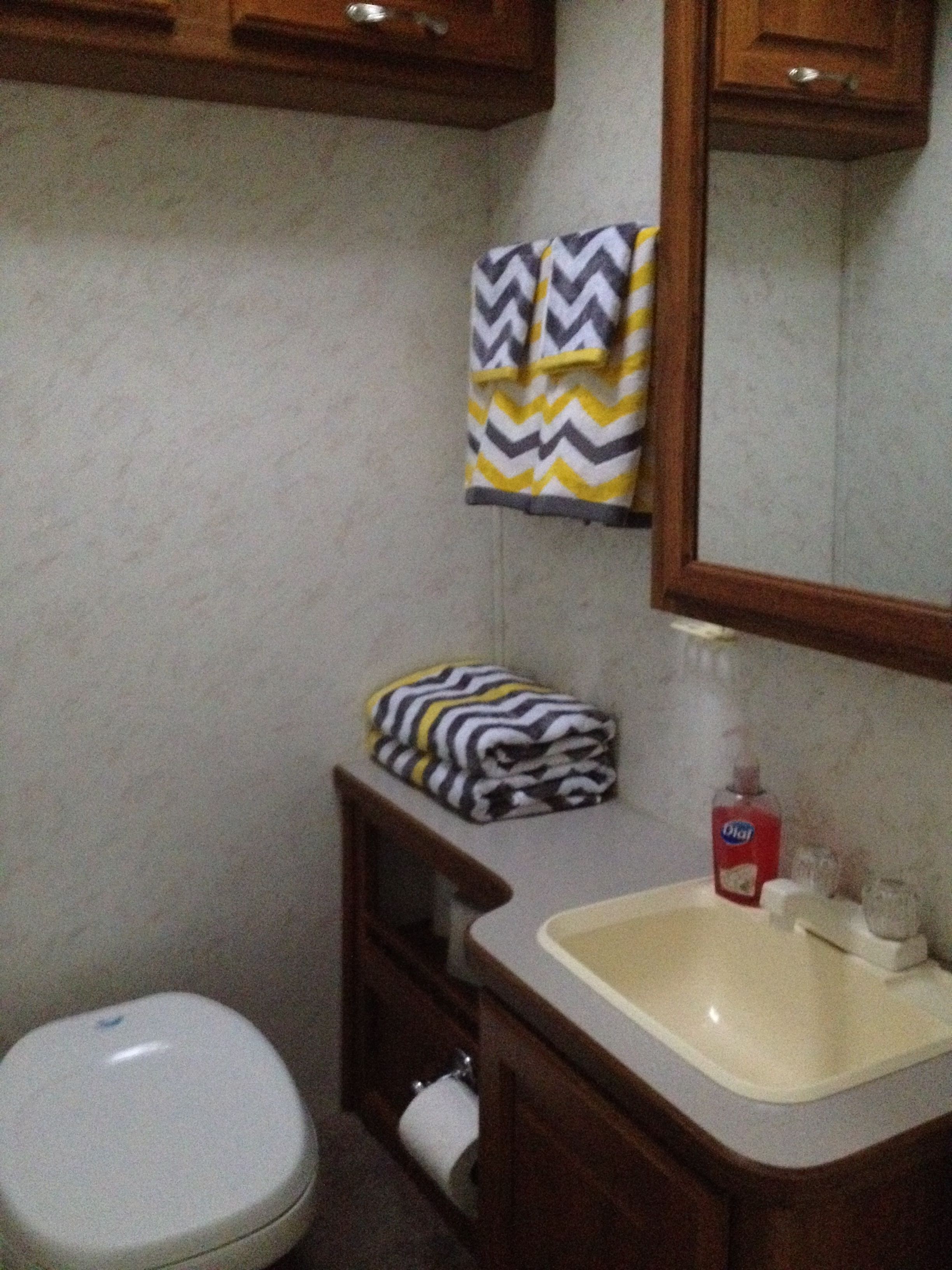 A bathroom with a toilet, a sink, and a mirror. There is a towel hanging on the wall and a bottle of hand soap on the sink.