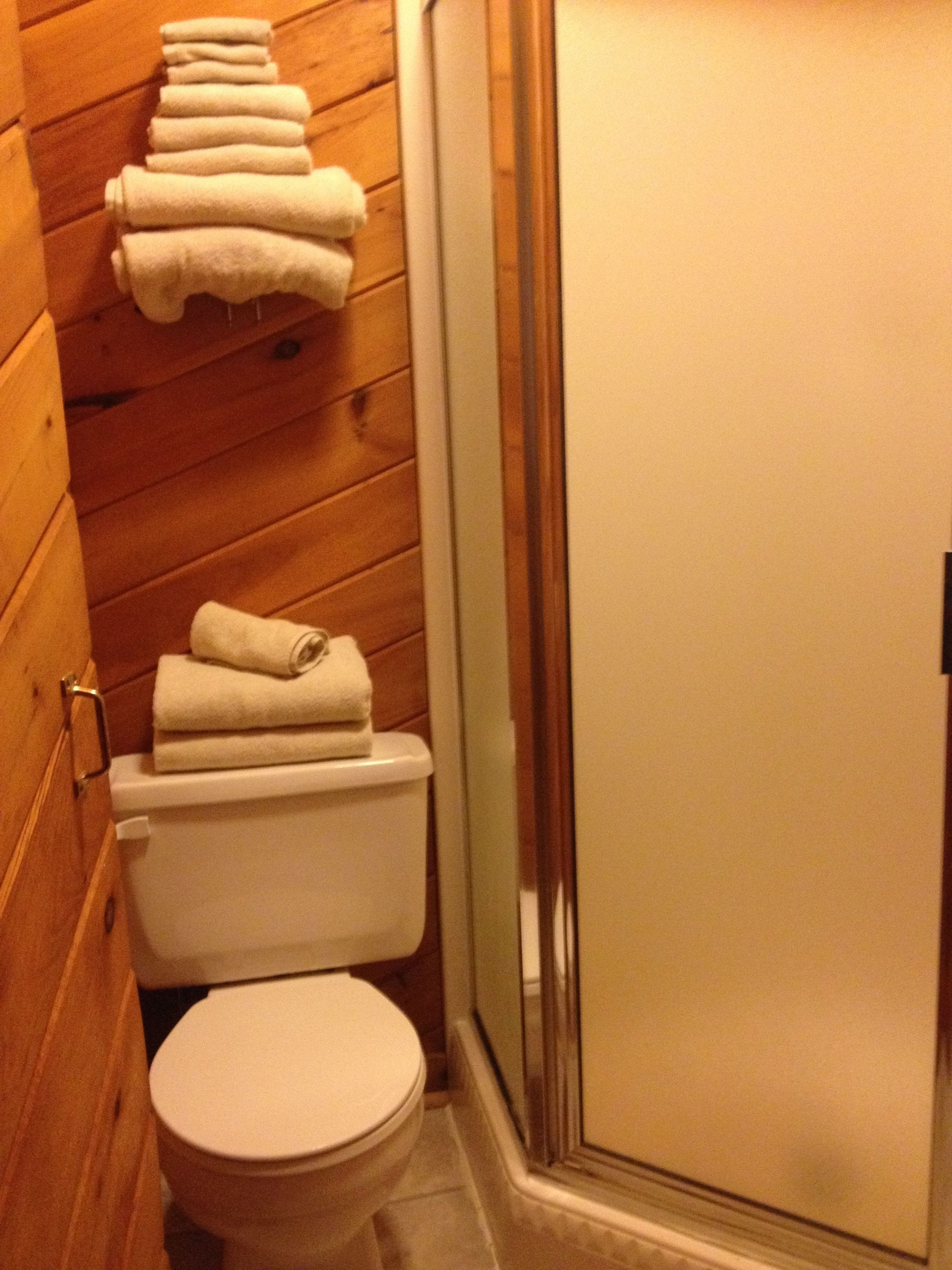 A bathroom with wooden walls, a toilet, and a glass shower enclosure.