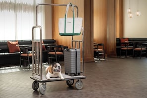 Un chien est allongé sur un chariot à bagages dans le hall d’un hôtel, près d’un espace détente et d’un mur en bois.