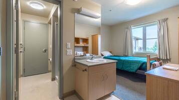 Standard Suite | Desk, laptop workspace, iron/ironing board, free WiFi