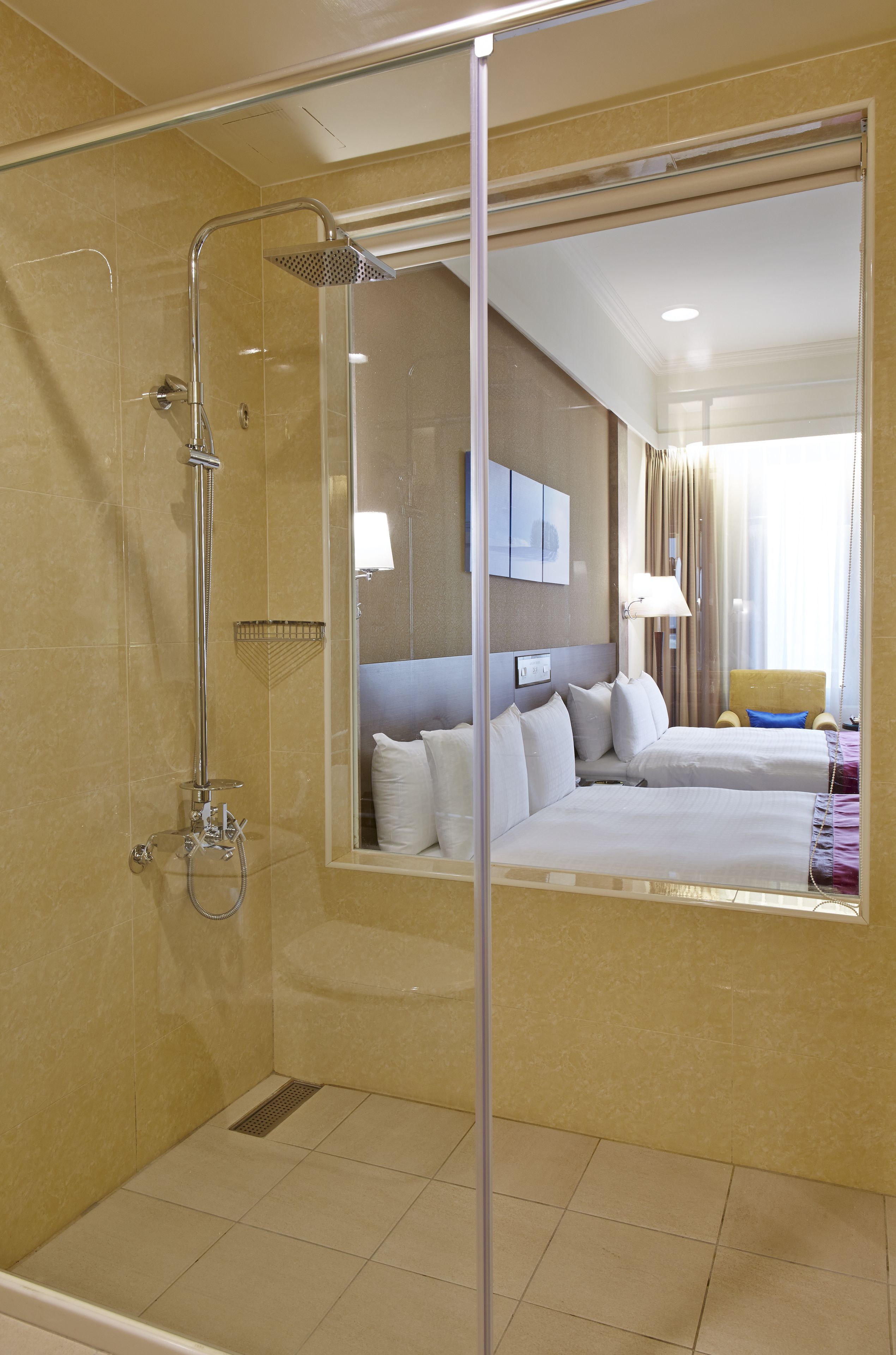 hair dryer, towels, shampoo, toilet paper