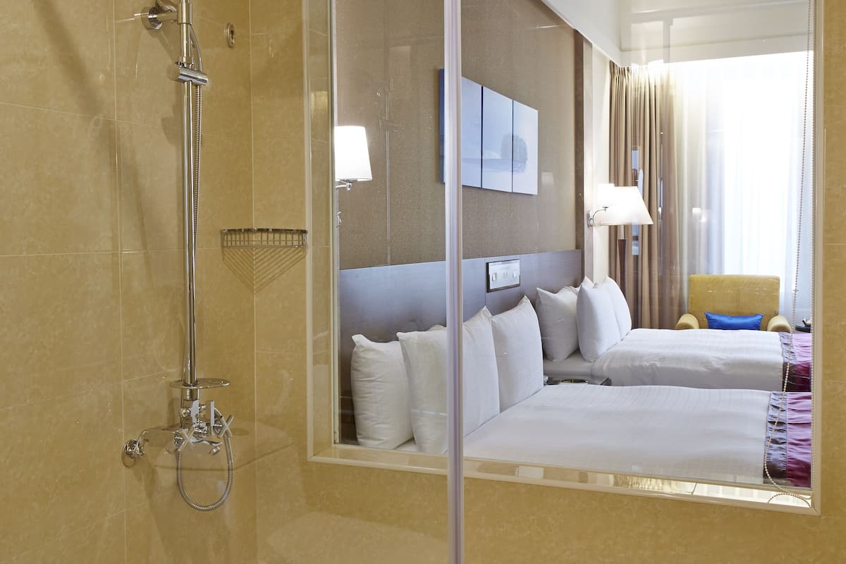 hair dryer, towels, shampoo, toilet paper